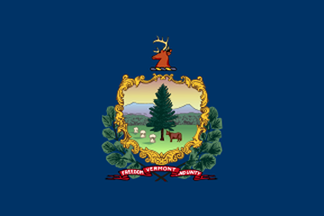 VT_flag